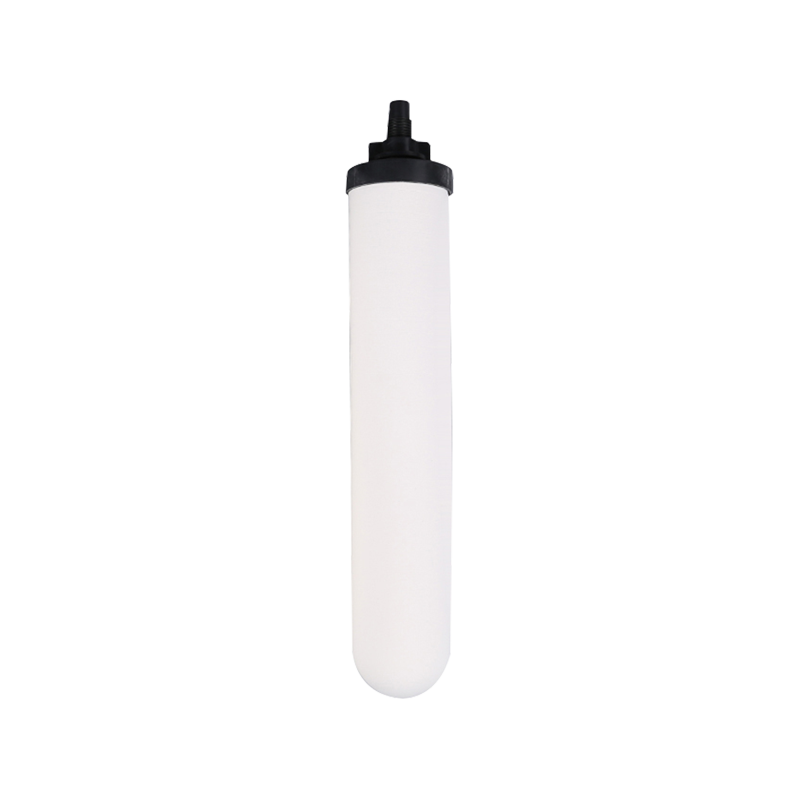 Hộp mực lọc nước rh-tc10a1